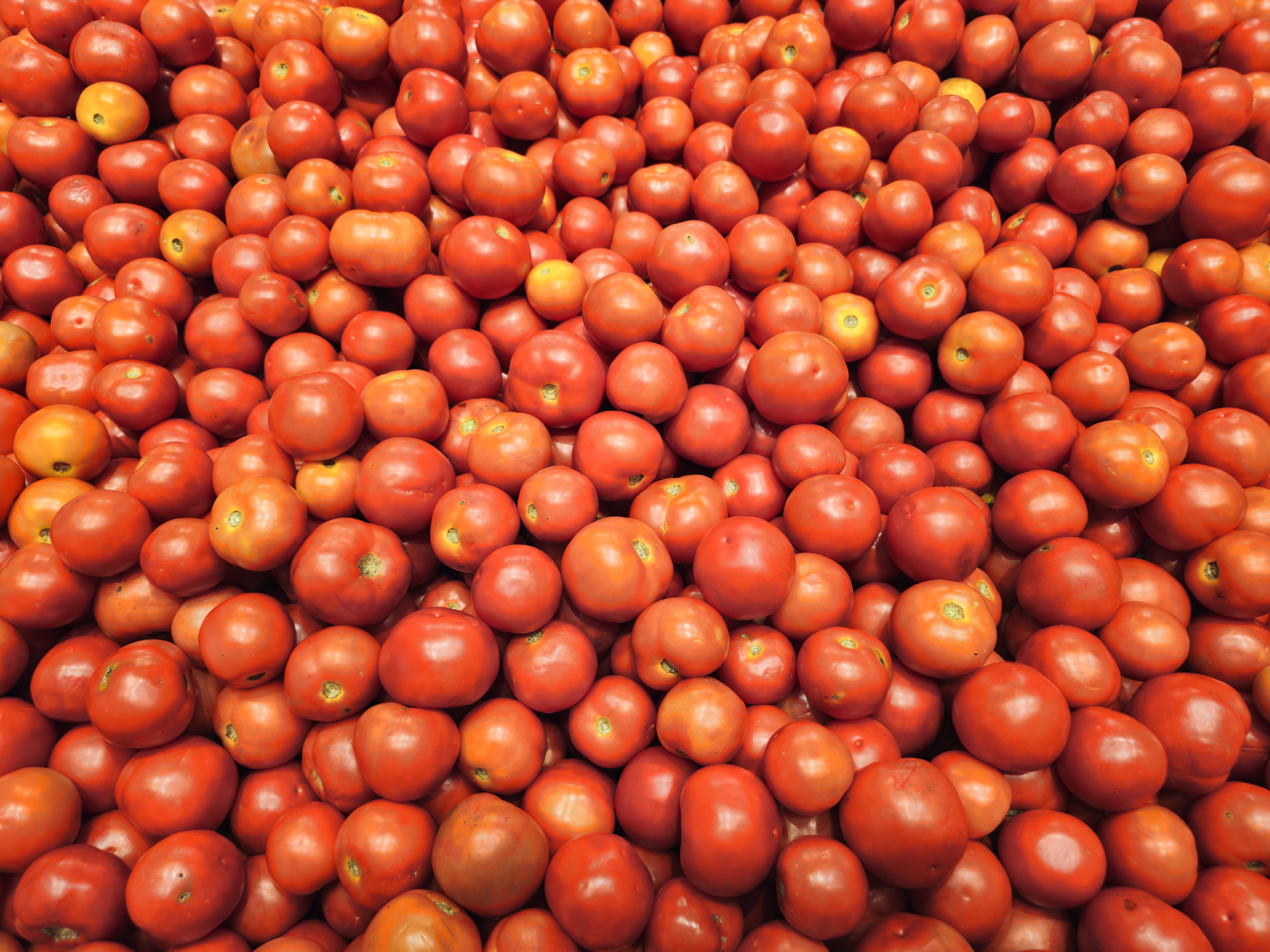 A vibrant collection of red tomatoes arranged in a large pile at a hypermarket in Kozhikode, Kerala. Their bright color and smooth texture show how fresh and ripe they are.