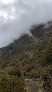 North ABC nature view with jungles and a dark, cloudy sky.