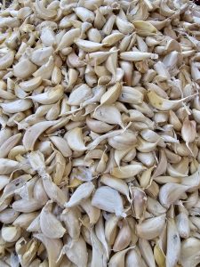 A heap of garlic cloves displayed at a local vegetable market in Asalpha, Mumbai, Maharashtra. 