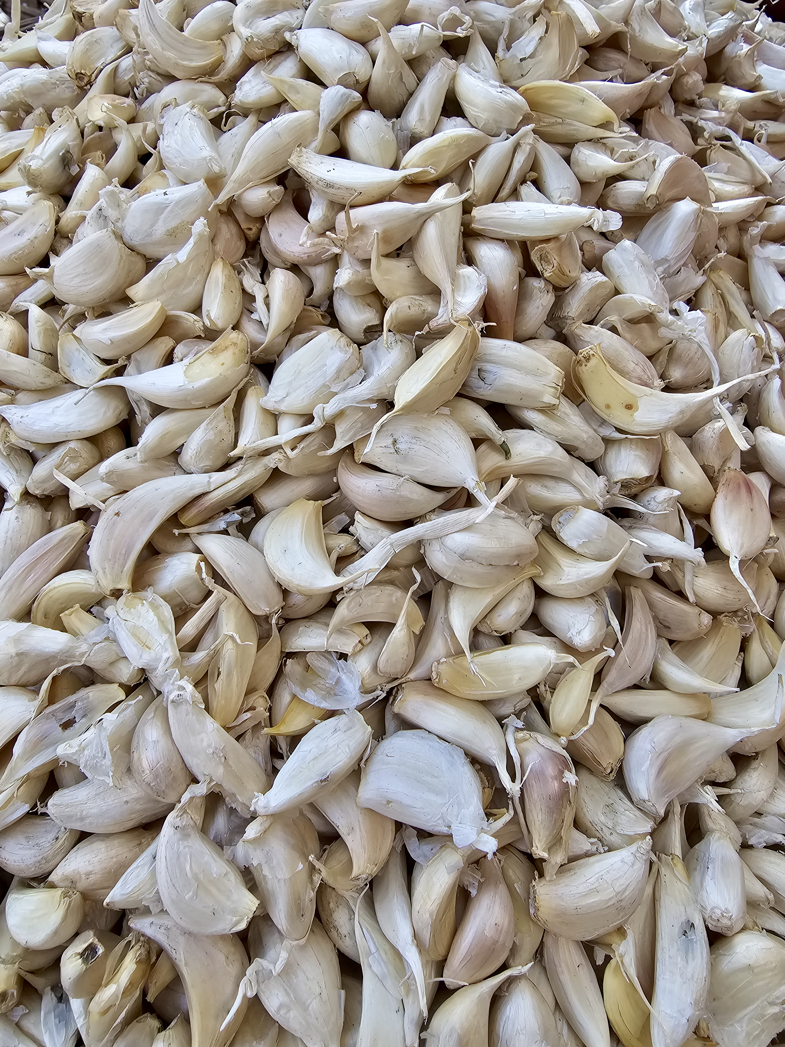 A heap of garlic cloves displayed at a local vegetable market in Asalpha, Mumbai, Maharashtra.