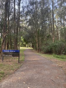 A winding pathway leads through a lush, green forest setting, with tall trees on either side. A sign at the start of the path indicates "Carawah Reserve," providing information about the reserve and its available trails. The scenery is serene, with dappled sunlight filtering through the tree branches.