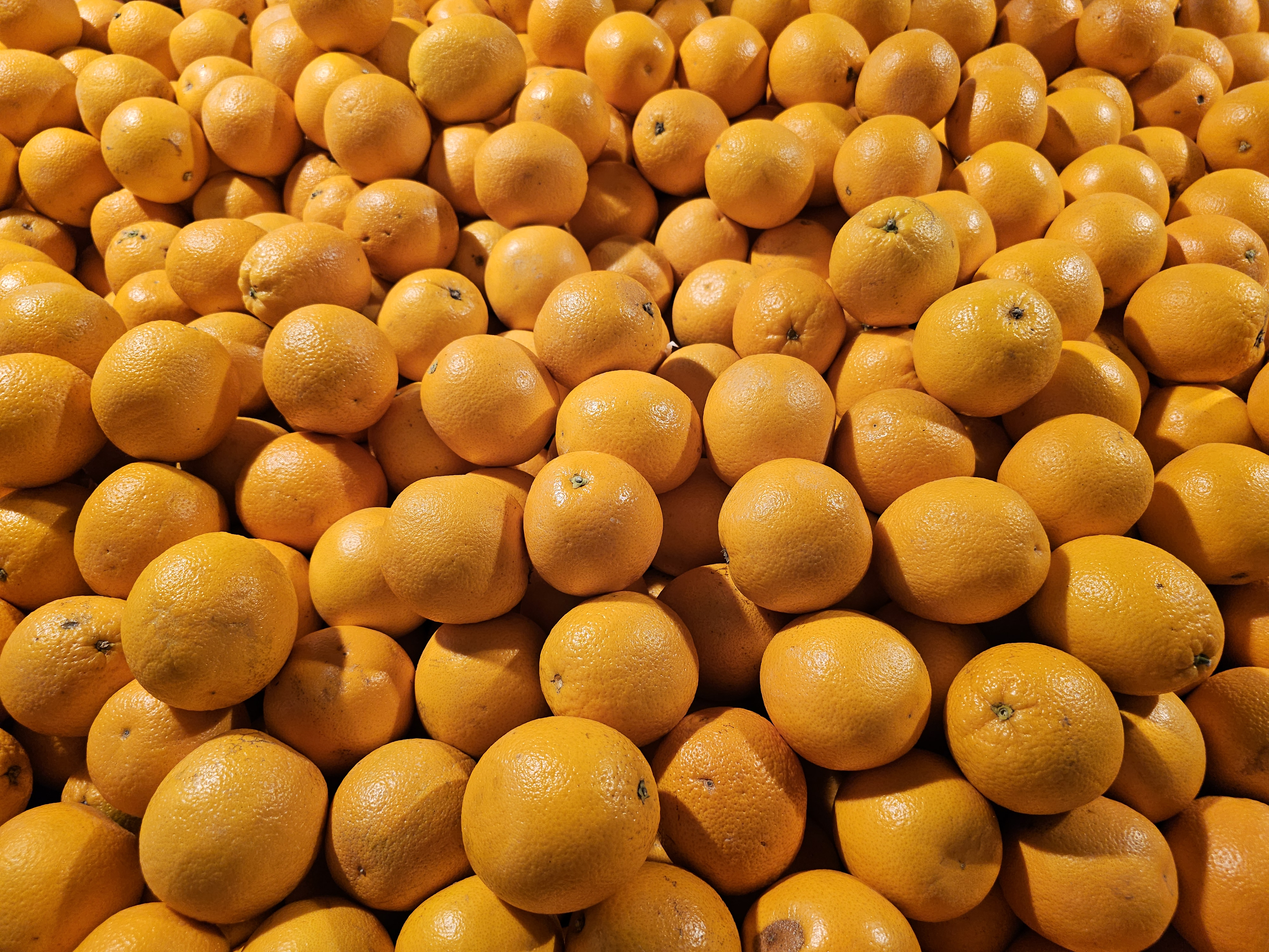A big pile of fresh, bright Valencia oranges stacked together at a market in Kozhikode, Kerala. The rich orange colour and smooth texture make the fruits look vibrant and ready to enjoy.