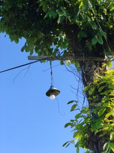 A hanging light fixture is attached to a wooden pole, which is partially obscured by lush green leaves.