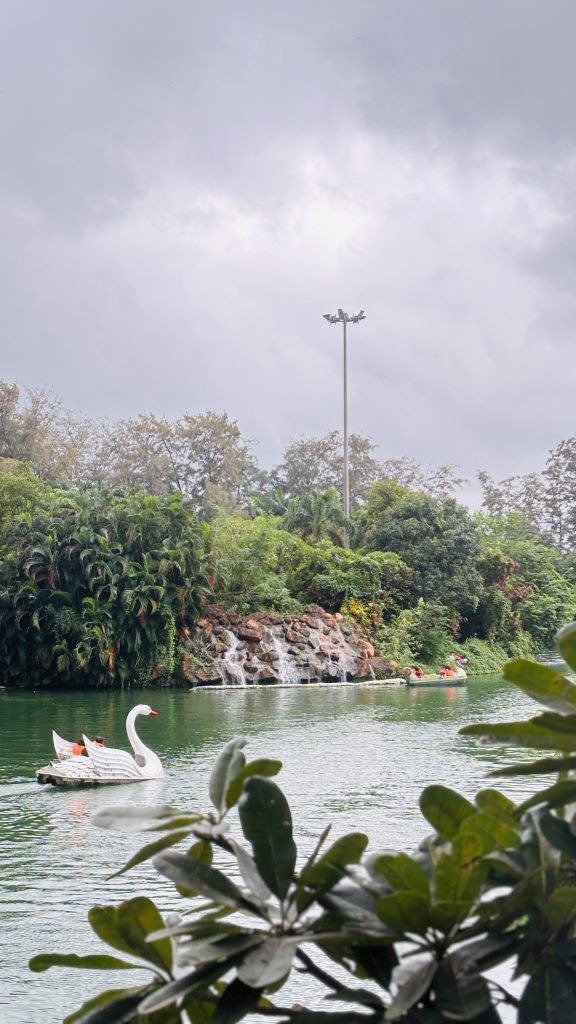 White swan paddle boat gliding on a calm lake with a waterfall, lush greenery, and grey overcast sky framed by leaves in the foreground.