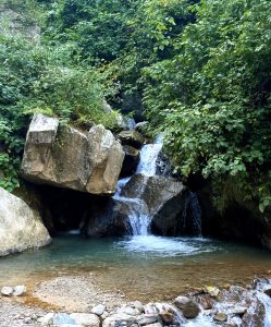 

A peaceful scene with a small waterfall flowing over rocks into a clear turquoise pond.
