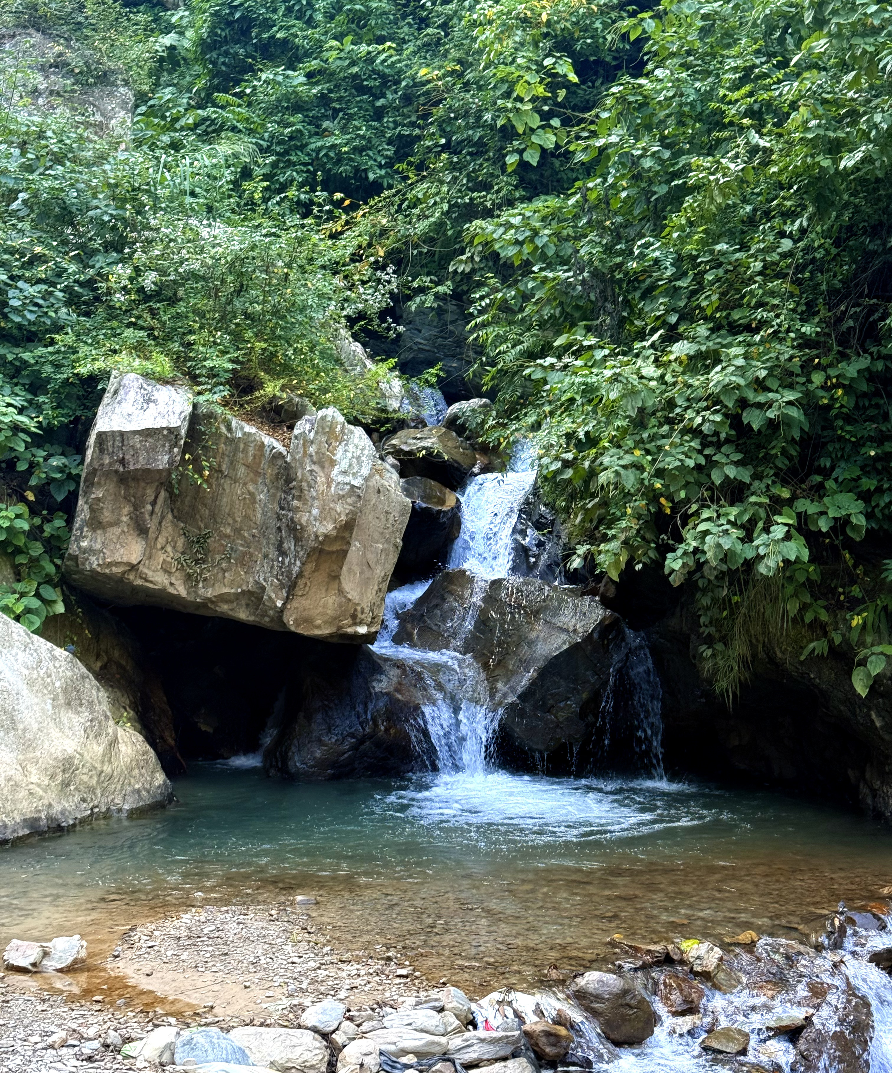 A peaceful scene with a small waterfall flowing over rocks into a clear turquoise pond.