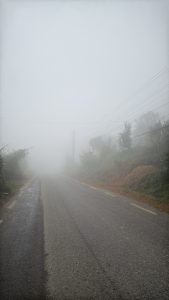 A foggy road stretching into the distance, with visibility reduced due to thick fog. On either side of the road, there are blurred outlines of vegetation and electrical poles