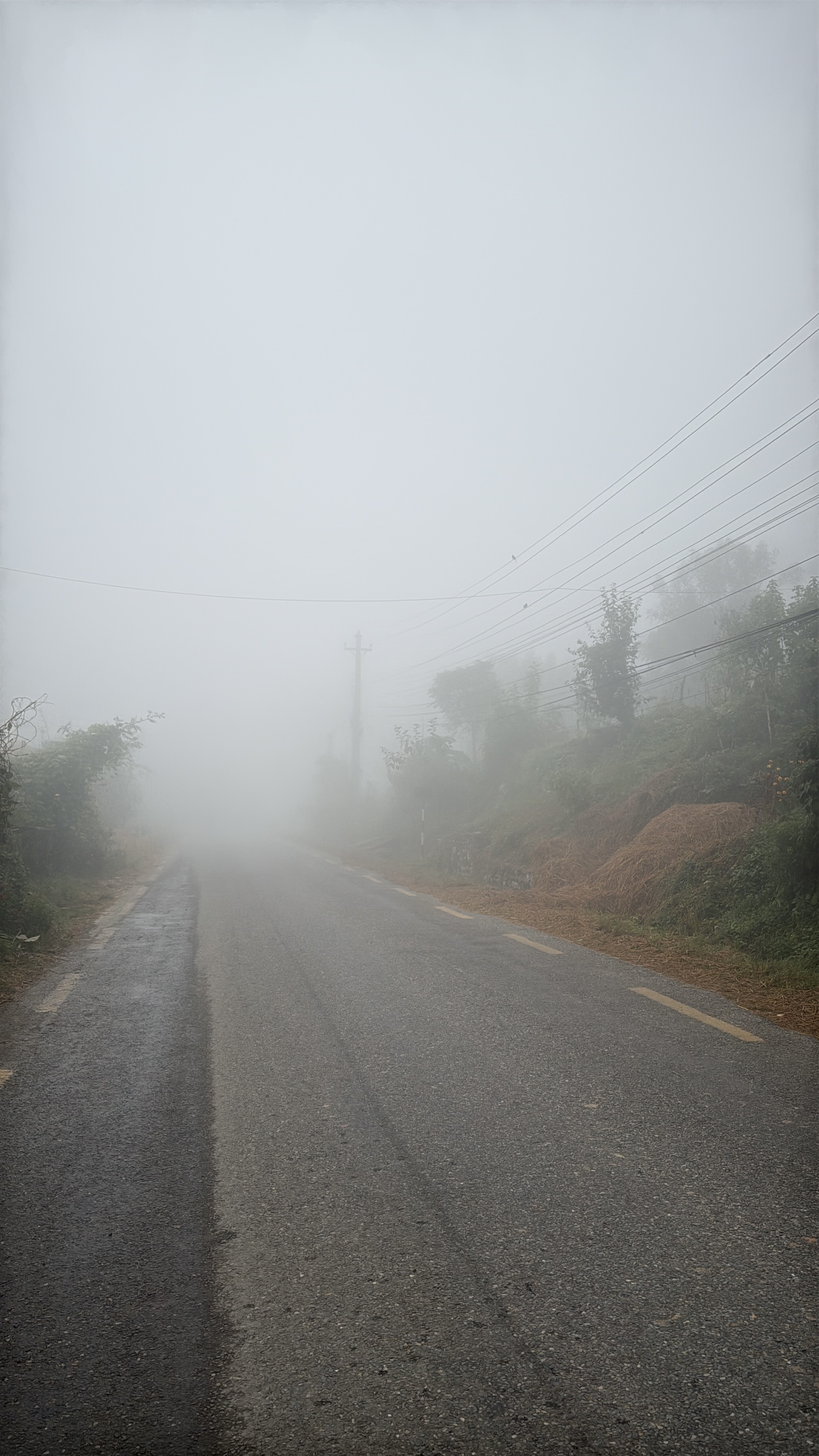 A foggy road stretching into the distance, with visibility reduced due to thick fog. On either side of the road, there are blurred outlines of vegetation and electrical poles