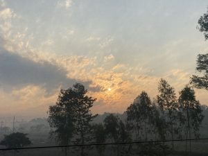 Sunrise scene with a misty landscape. The sun is partially visible through scattered clouds, silhouetting tall trees. The atmosphere is calm and serene.
