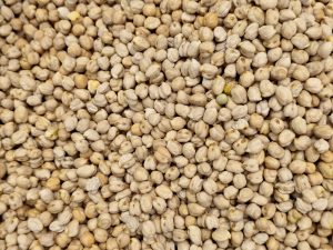 White chickpeas are arranged in a clean pile at a hypermarket in Kozhikode. The round grains in soft beige shades show a staple ingredient used for curries and snacks in many homes.