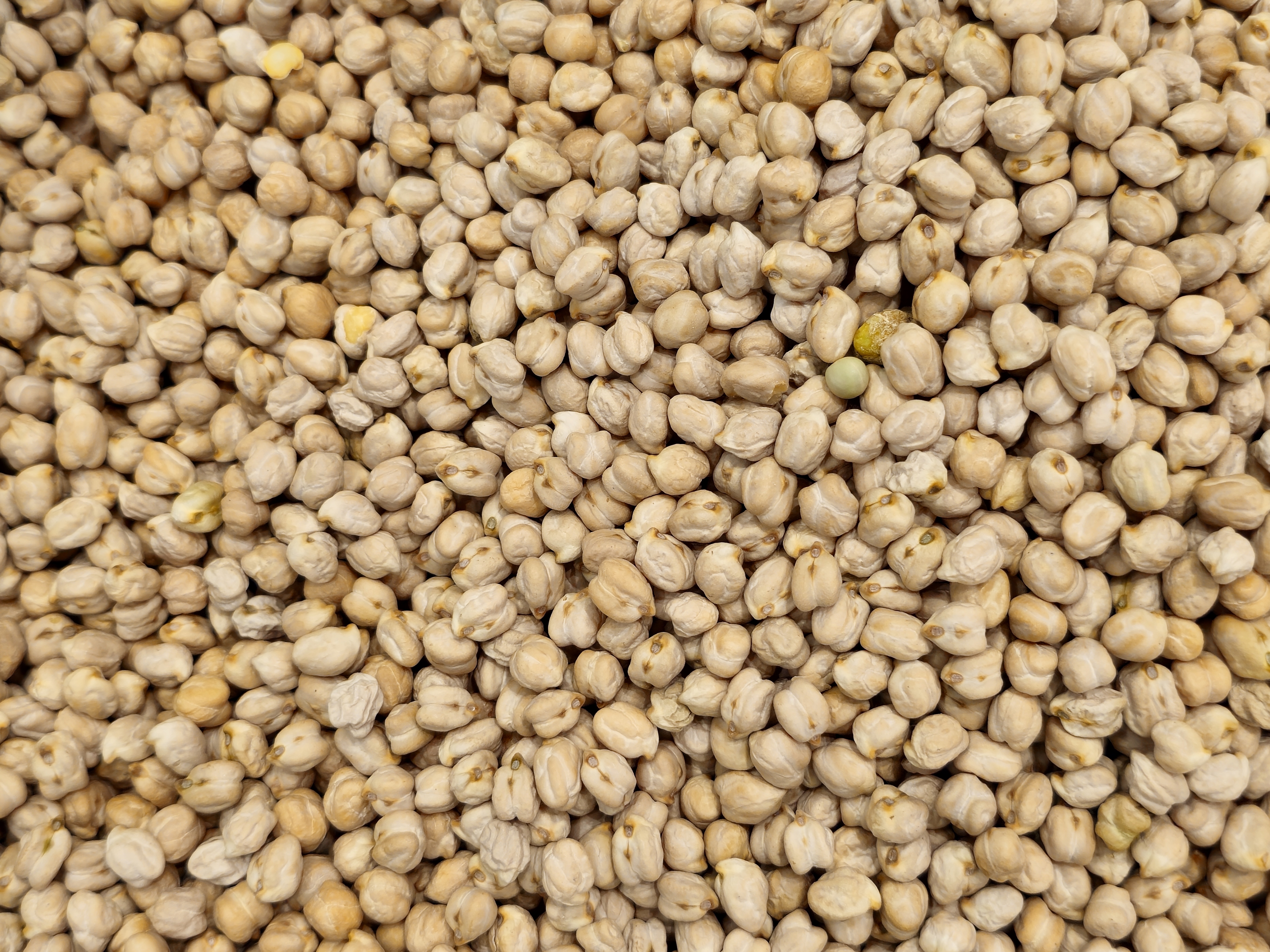 White chickpeas are arranged in a clean pile at a hypermarket in Kozhikode. The round grains in soft beige shades show a staple ingredient used for curries and snacks in many homes.