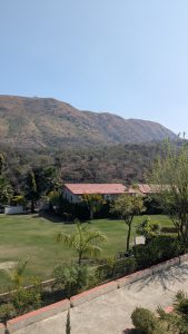 A scenic view featuring a grassy landscape with neatly trimmed bushes and several palm trees in the foreground.