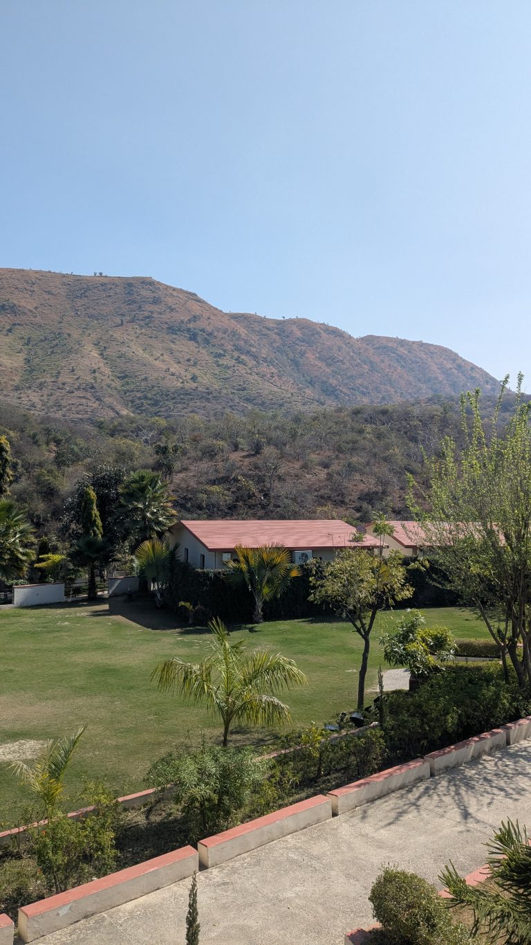 A scenic view featuring a grassy landscape with neatly trimmed bushes and several palm trees in the foreground.