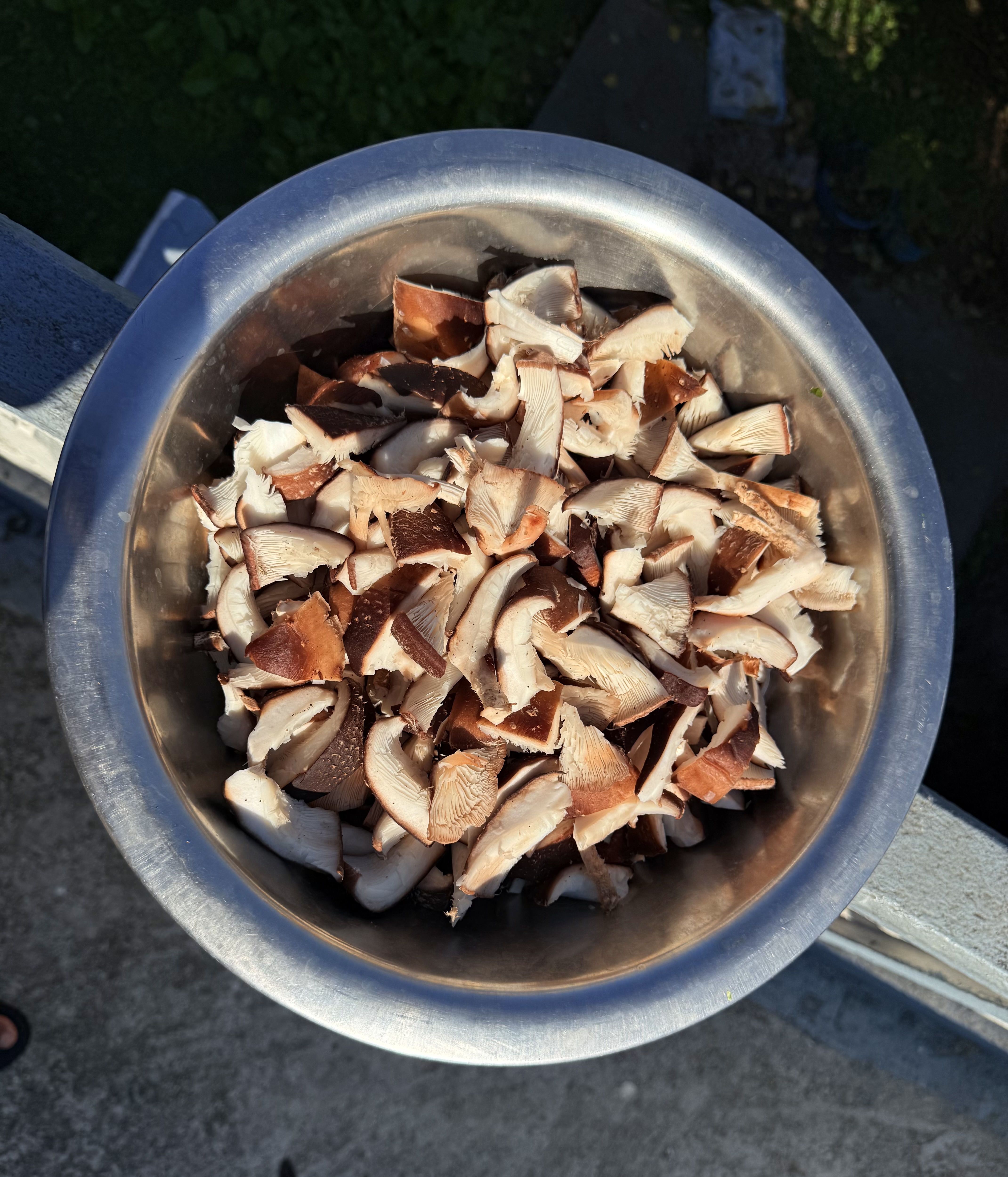 A silver bowl filled with freshly chopped mushrooms, showcasing a mix of light and dark brown pieces.