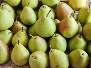 Fresh green pears with smooth skin and a few red patches, laid out on a newspaper, captured in Perumanna, Kozhikode, Kerala.