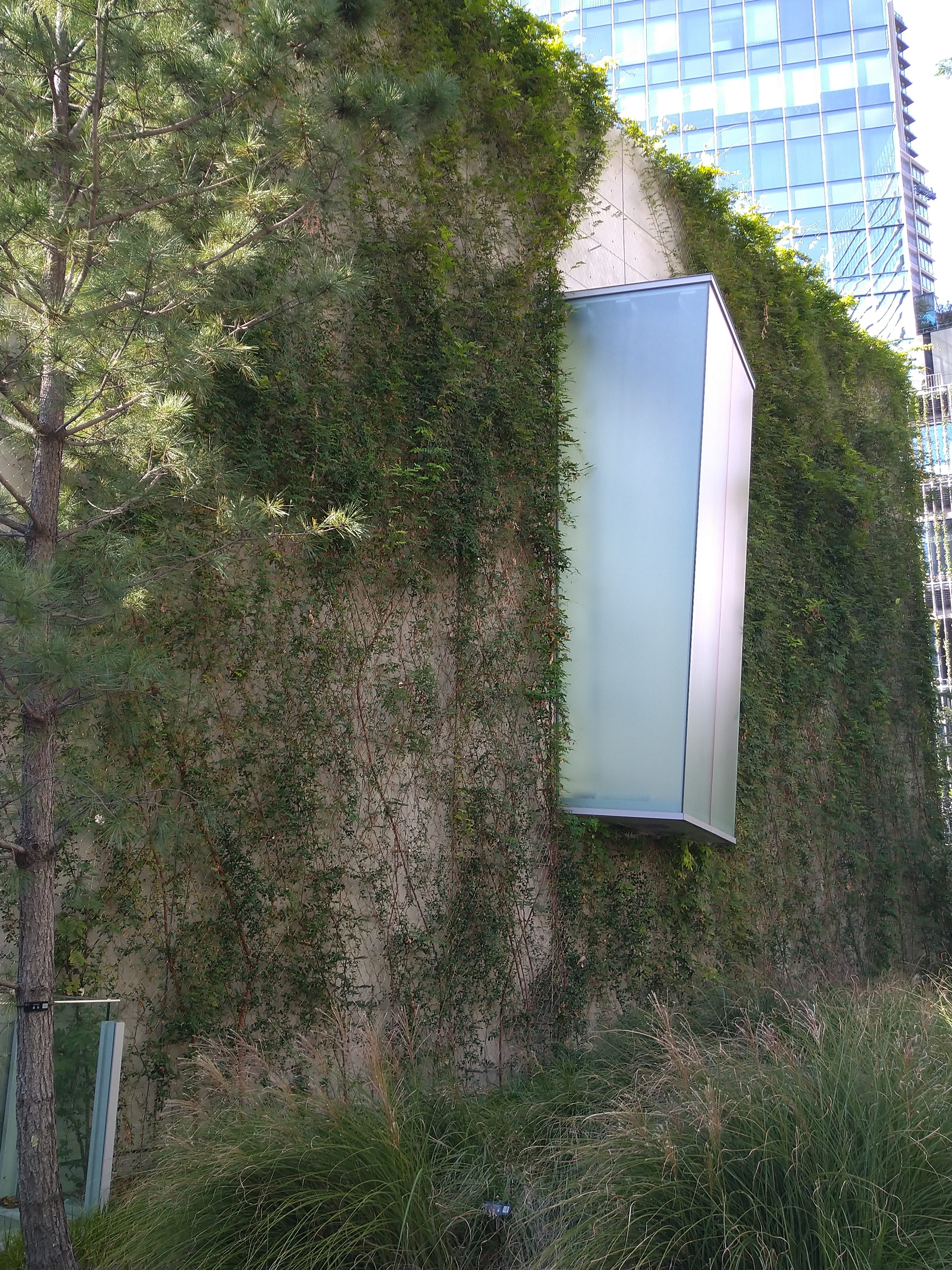 A modern, partially covered building facade is adorned with lush green vegetation, featuring a large, frosted glass box protruding from the wall.