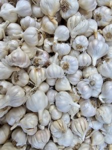 Whole garlic bulbs with white papery skin arranged in bulk at a vegetable stall in Asalpha, Mumbai, Maharashtra. 