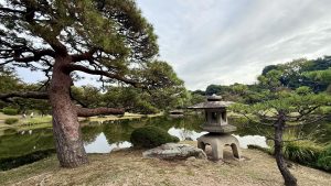 This photo was taken in the Japanese garden inside Shinjuku Gyoen in Tokyo. It shows a pine tree, a stone lantern, and a pond with reflections of the surrounding landscape.