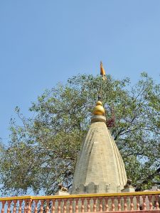 A traditional stone temple spire with a golden finial and saffron flag, set against a vivid blue sky and leafy tree backdrop. Captured in Mumbai, Maharashtra. 