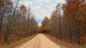 A dirt road, viewed from the center of the road looking toward the horizon. The trees on either side are either covered in autumn leaves, or bare for the winter.