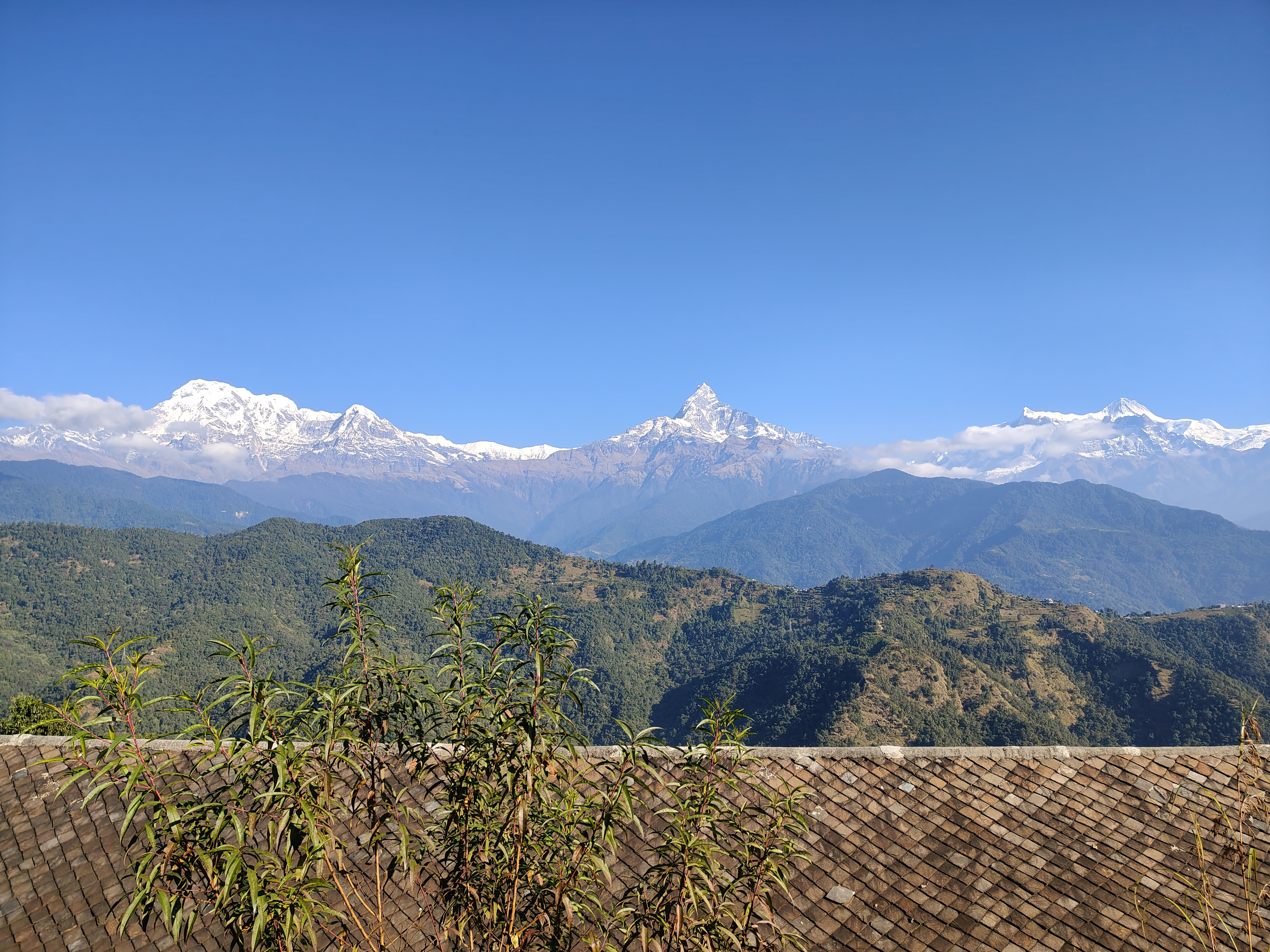 A panoramic view of snow-capped mountains under a clear blue sky, with lush green hills in the foreground.