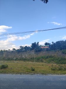 A view of a grassy landscape with a small road in the foreground.