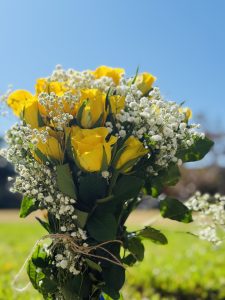 Yellow roses under the blue sky, Florida.
