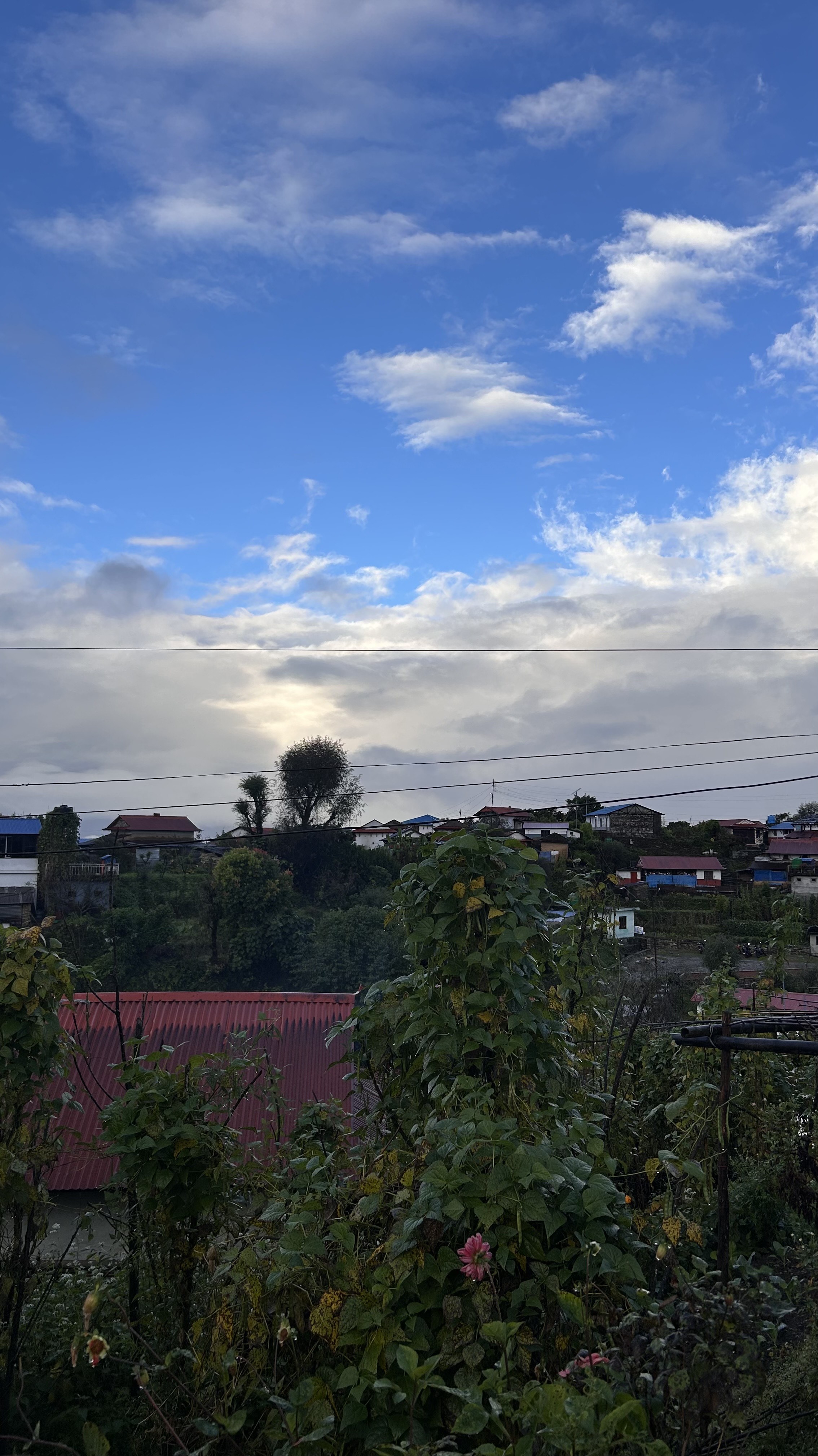 A scenic view featuring a vibrant blue sky with scattered clouds, green plants and small houses with red and blue coloured roofs.
