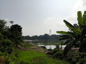 Trees and green fields with a lake in the middle of it under the sky at Kawtoli, Brahmanbaria District, Bangladesh.