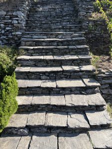 A stone staircase made of uneven, rectangular slabs, leading upward with some grass and small plants growing around the edges. 