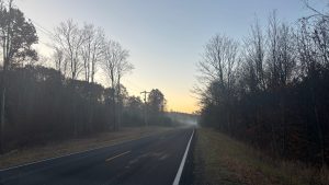 A long straight road made of blacktop goes off into the distance.  It&#039;s lined by forest. In the distance the road is obscured by mist. The sky is lit by morning light.