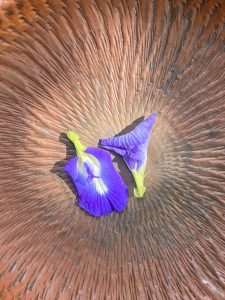 Two purple flowers with green stems lie on a rust-colored surface, creating a serene contrast.