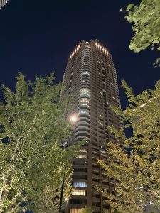 A picture of an Osaka office district taken at night, from between two large trees, shows a dark sky behind it.
