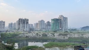 Tall concrete buildings under construction rise up behind a quiet pond filled with green water plants.