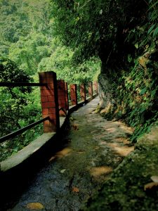A scenic pathway meanders through lush greenery, bordered by a low stone wall and railing made of red bricks. 