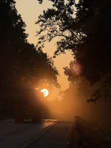 A serene sunset scene, featuring the sun setting behind a line of trees, casting a warm orange and yellow glow across the sky. 