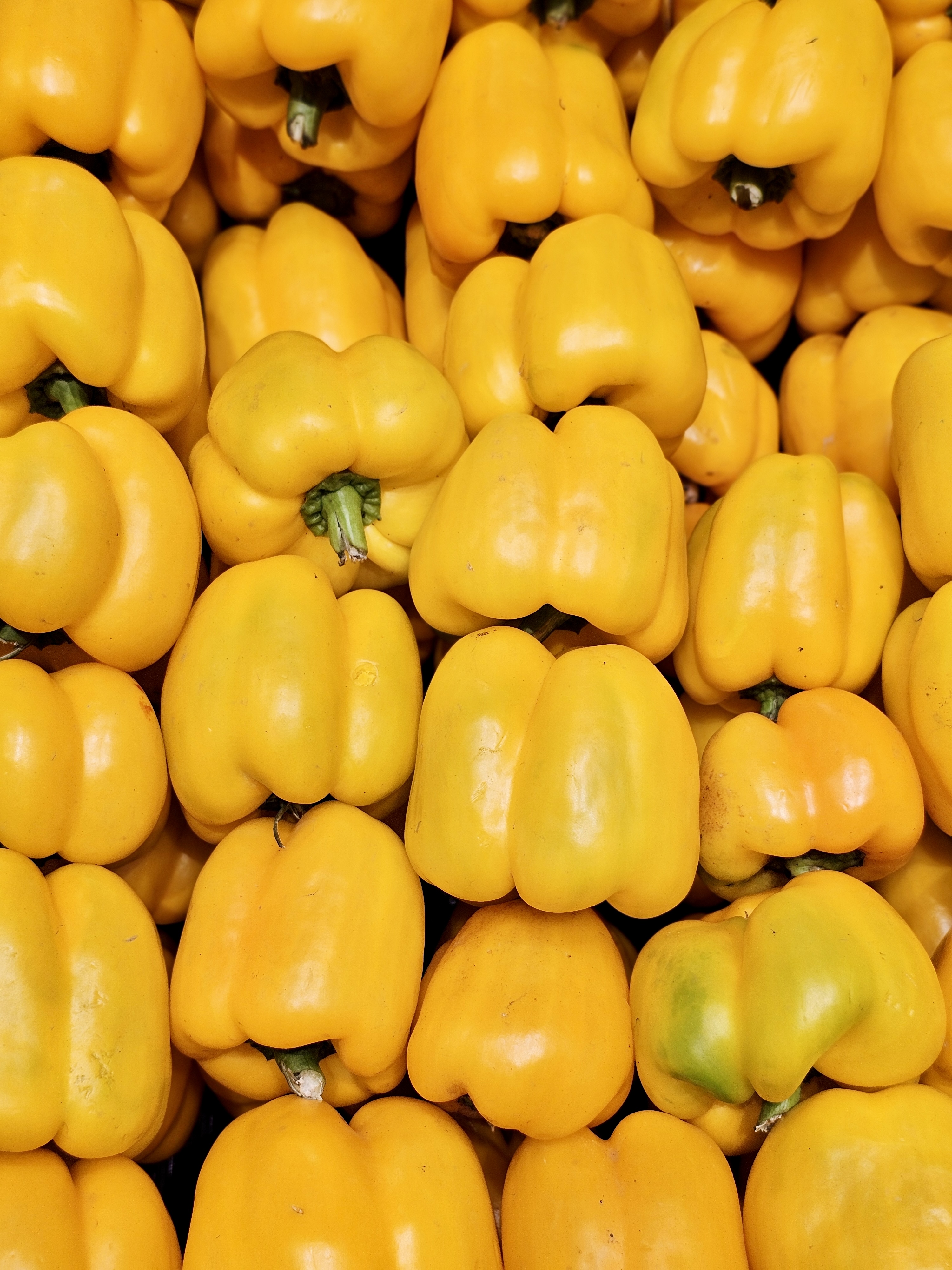 Bright yellow capsicums stacked together in a fresh produce section of a hypermarket in Kozhikode, Kerala. Their smooth skin and vibrant color make the display eye-catching and lively.