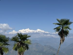 A panoramic view of snow-capped mountains under a clear blue sky, with green palm trees in the foreground.