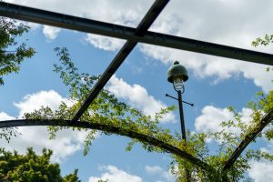 A vintage-style street lamp stands tall against a bright blue sky, framed by green vines climbing a metal pergola. The scene captures a peaceful, summery atmosphere in an urban park.
