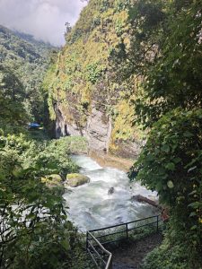 A lush, green landscape featuring a rushing river at the bottom.