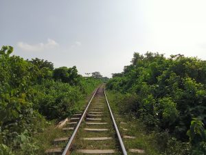 A view of a set of railway tracks extending into the distance, flanked by lush green vegetation on both sides.