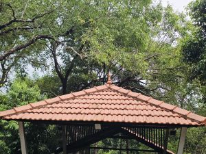 A calm view of a tiled roof shelter at the Malabar Botanical Garden, Kozhikode. The orange tiles stand out against the tall green trees, creating a peaceful and welcoming spot in the middle of nature.