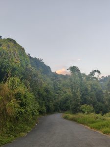 A winding road leads through a lush green landscape, flanked by dense foliage and trees. 