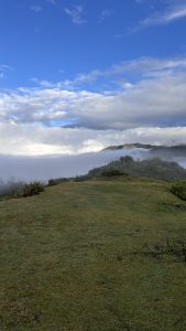 A panoramic view of rolling hills covered in mist, with patches of greenery and uneven terrain in the foreground
