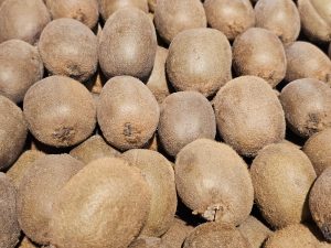 A close-up view of a large pile of kiwis with brown, fuzzy skin. The fruits fill the frame, showcasing their natural texture. Captured from a market in Kozhikode, Kerala. 