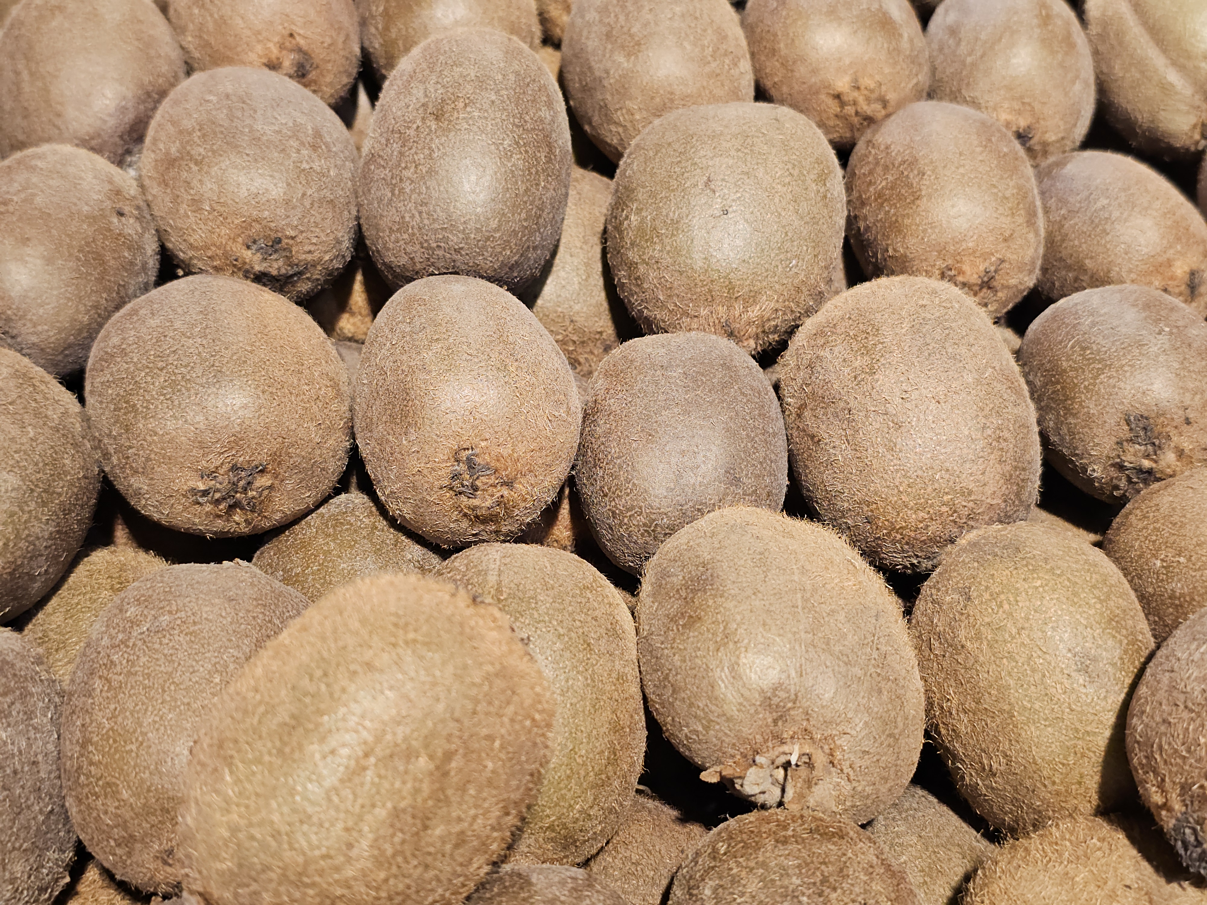 A close-up view of a large pile of kiwis with brown, fuzzy skin. The fruits fill the frame, showcasing their natural texture. Captured from a market in Kozhikode, Kerala. 