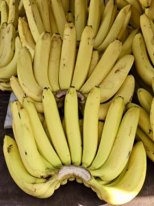 Bright yellow bananas arranged in bunches for sale at a market in Asalpha, Mumbai, Maharashtra. 
