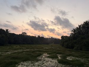 Soft sunset hues light up a serene wetland field surrounded by trees and palms. Peaceful evening sky at Cherupa, Kozhikode, Kerala. 