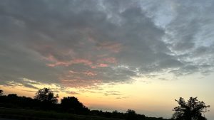 A peaceful sunset with warm orange and yellow light on the horizon, soft pink on the clouds above, and dark silhouettes of trees and greenery below.