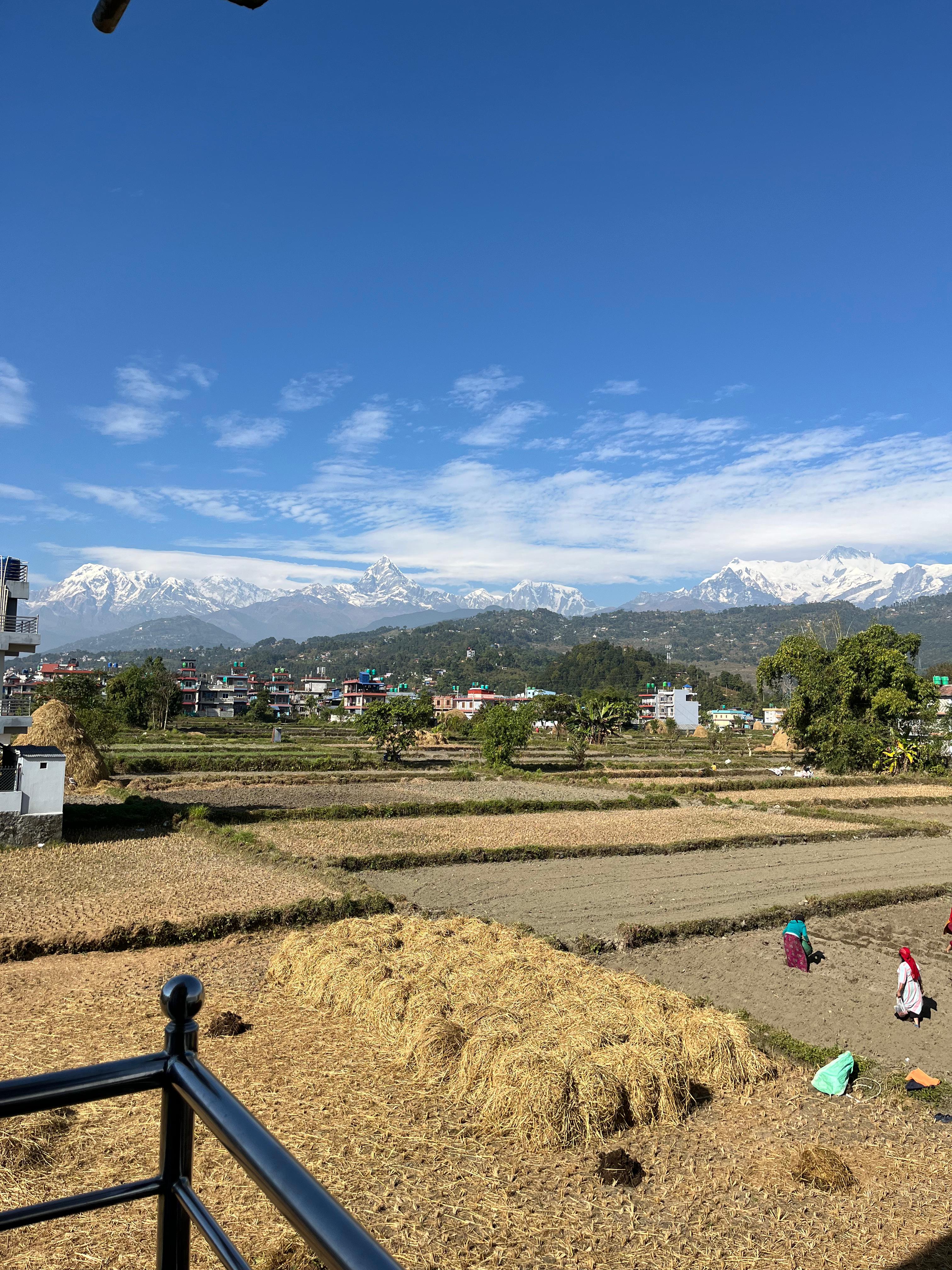 A panoramic landscape with a blue sky, snowy mountains, terraced fields with straw bundles, people working, and colorful houses surrounded by trees